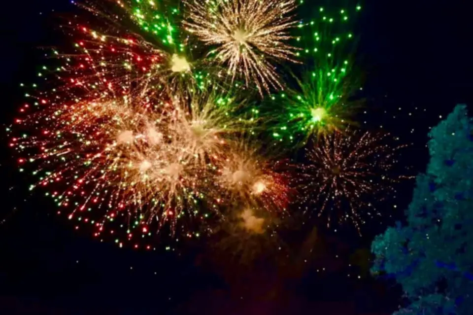 Fuegos artificiales blancos y dorados explotando en el cielo